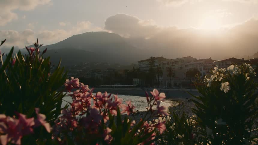 View of flowers beach seaside residential area and mountains in the distance during a sunrise