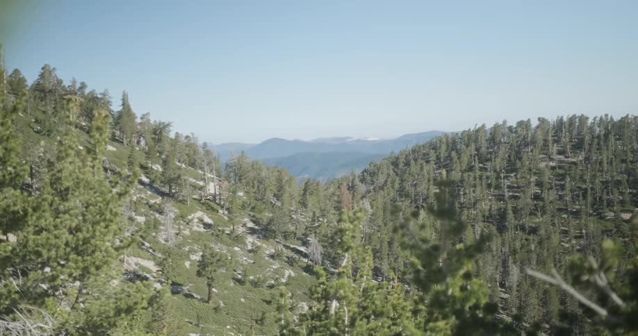 Trees cover the hilly landscape