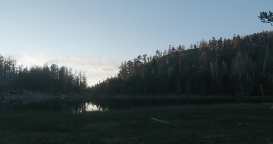 Sun sets over a pond and many trees