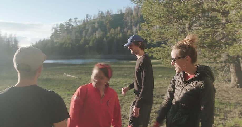Hikers high five in a forest on a sunny day
