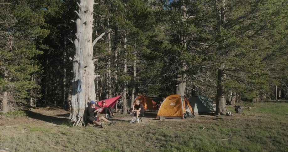 People are sitting in a camp by the woods