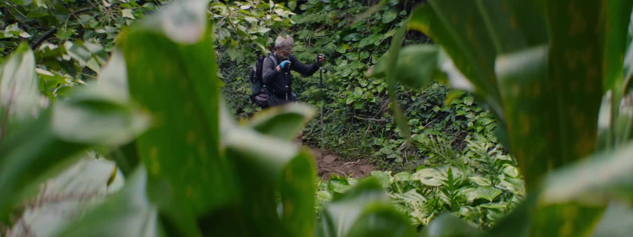 Man walking down a path using two walking sticks