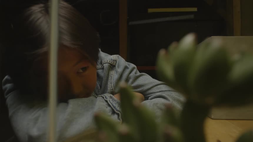 Young asian woman observing an empty aquarium and touching the glass