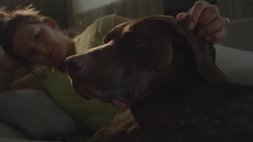 Close up of a woman lying down petting her dogs head affectionately
