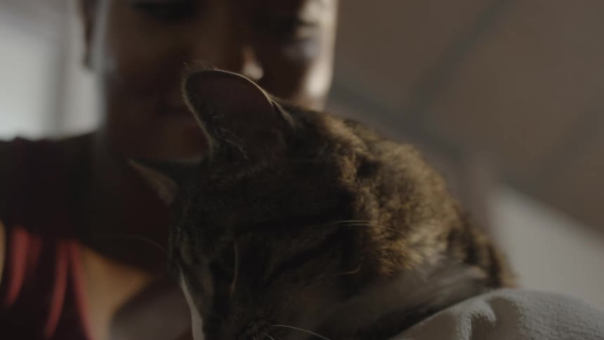 Young woman caressing a cat