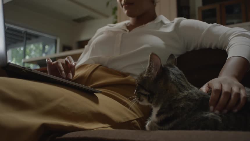 Woman sits on couch with a laptop and pets her cat