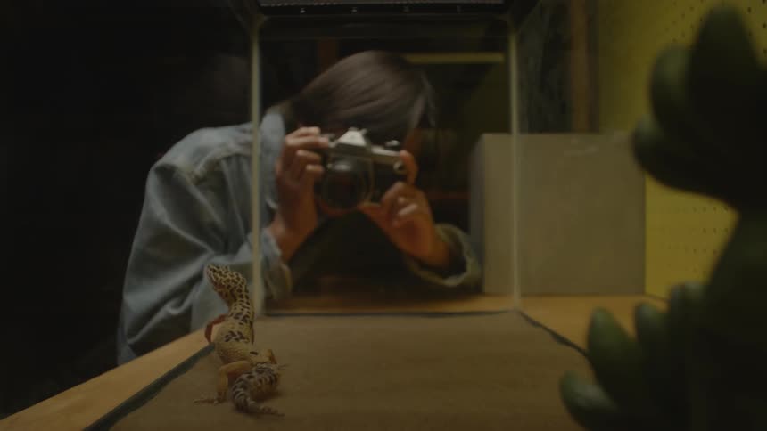 Photographer sitting down indoors taking picture of a gecko on a glass cage
