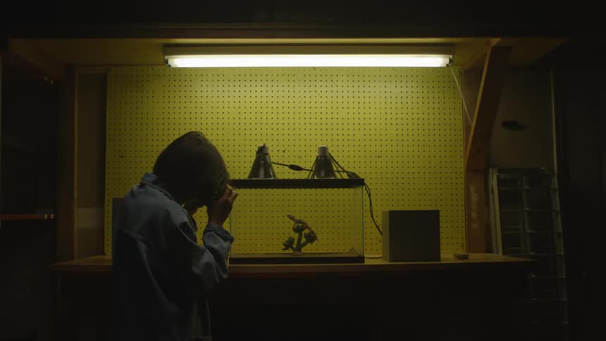 Young asian photographer taking photos of a reptile inside a closed indoor environment with glass