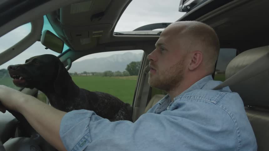 Man and dog drive in a vehicle