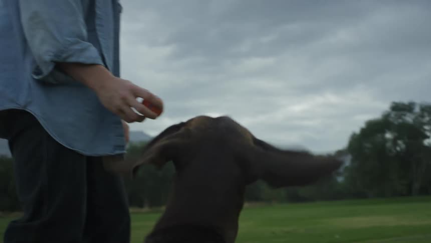 Man holding a small ball and throwing it far away in a natural outdoor environment with his dog eagerly running after it