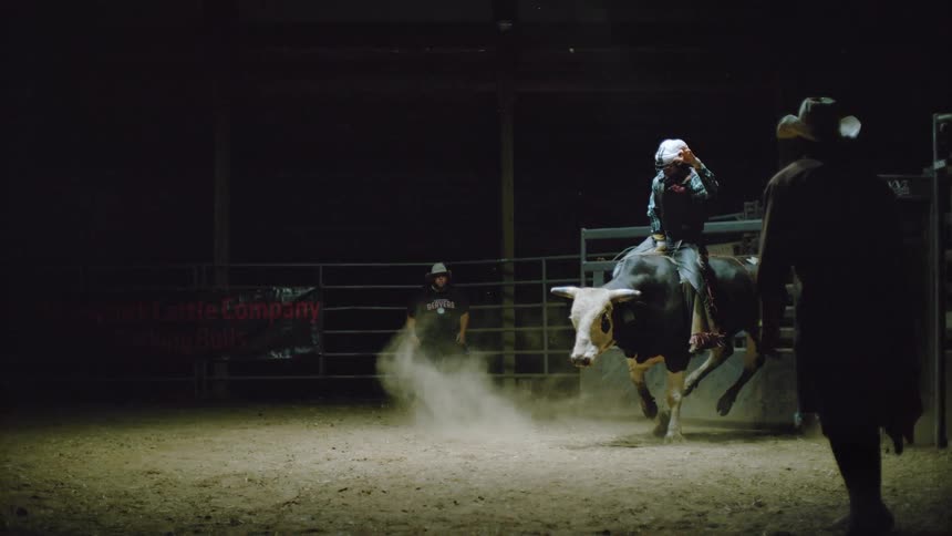 Man rides on a bucking bull