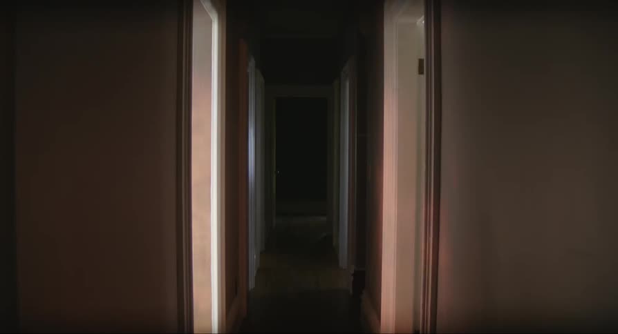 View of a hallway with reflections of moving trees inside a house