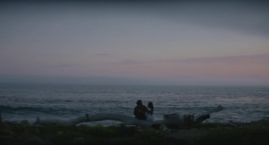 A couple sitting on a fallen tree trunk near the sea hugging each other