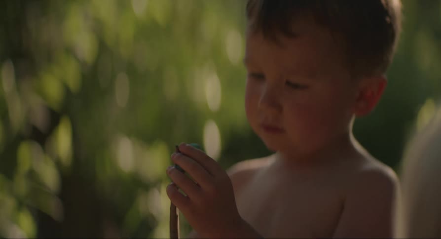 Child holding a small twig with a lizard and then placing it in someone elses hand
