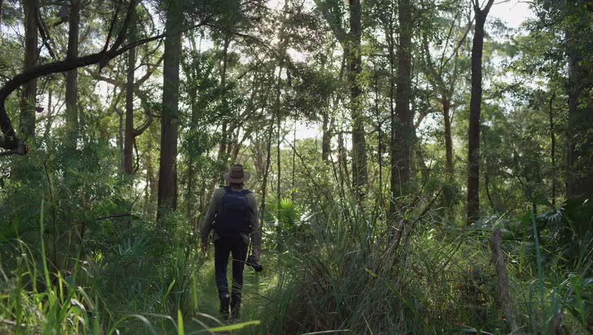 A man is hiking through the forest with his camera