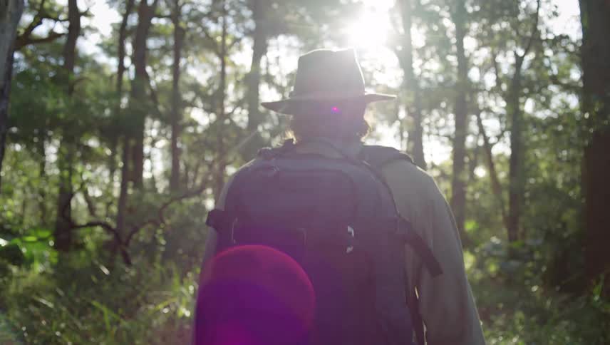 A man with a hat and a backpack strolls through a forest