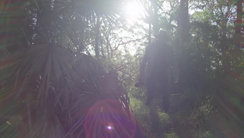 A man is hiking through the woods