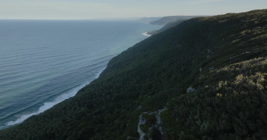 Aerial of the coastline with mountains and forests