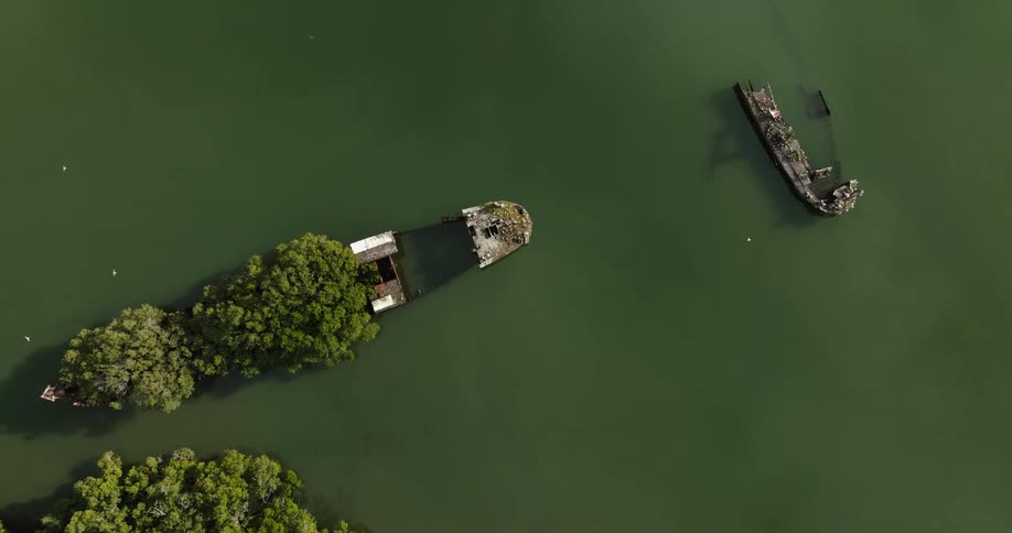 A sunken ship in the shallows of a lake and birds flying overhead