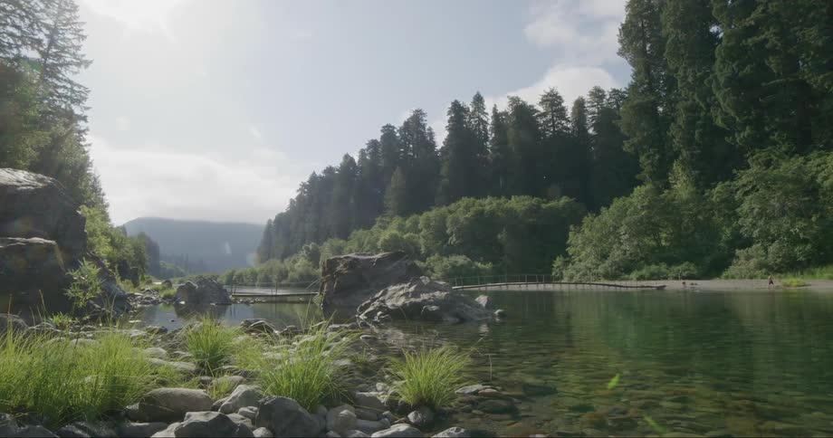 Landscape of river with bridge near the forest