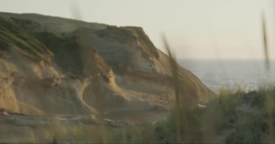 Plants along the coast move in the breeze as the sun shines upon the headland