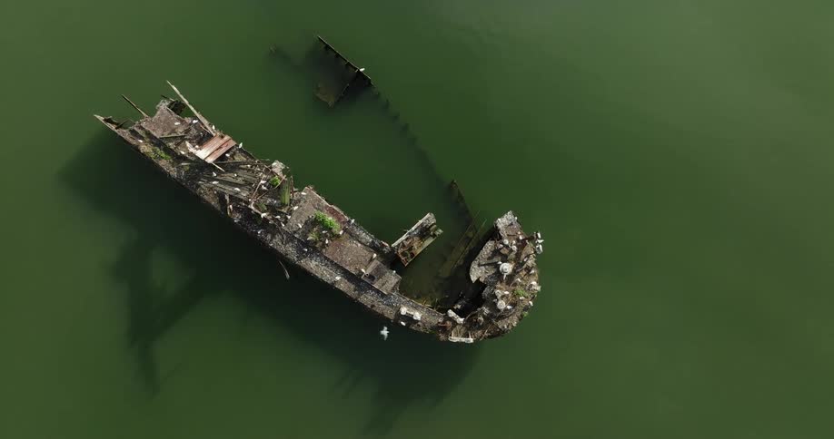 Drone view of a structure built on the ocean in green murky water as white birds fly over