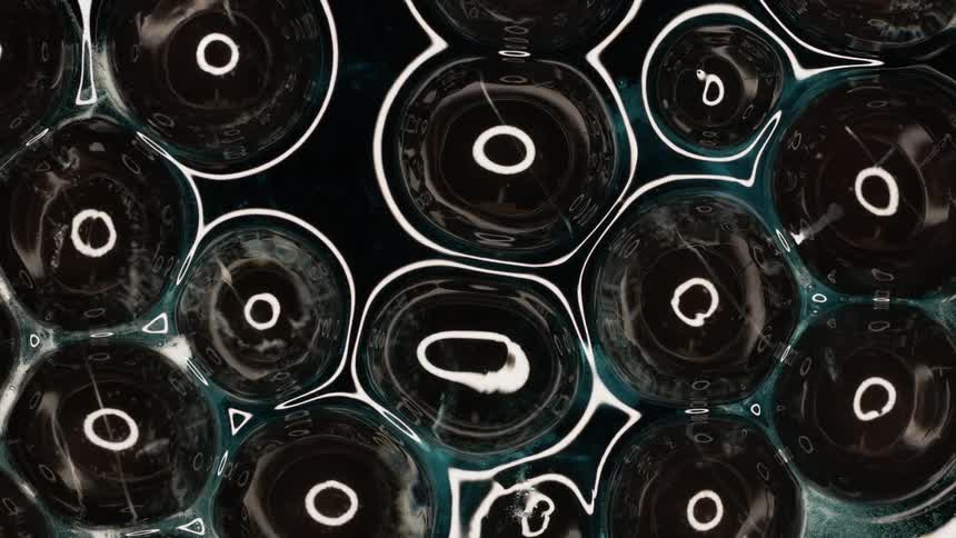 A cluster of several small bubbles drift around each other and refract light