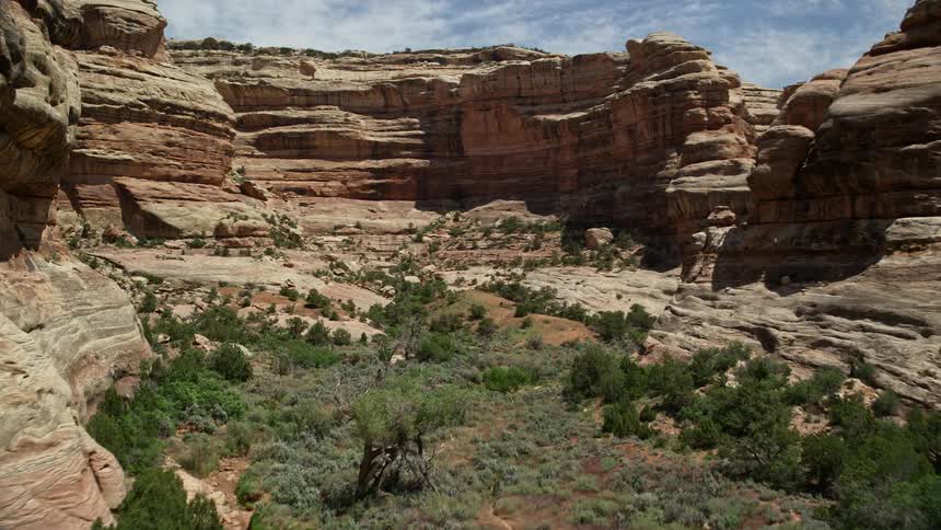 Aerial footage flying through the bottom of Grand Gulch in Utah on a sunny day capturing the arid canyon scenery and the vibrant flora
