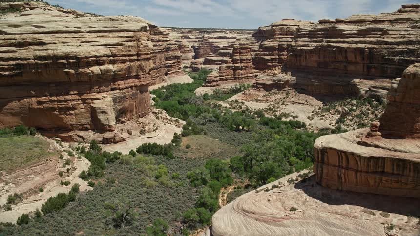  aerial footage of a low flying journey through lush vegetation and towering rock formations in the Grand Gulch Primitive Area Utah