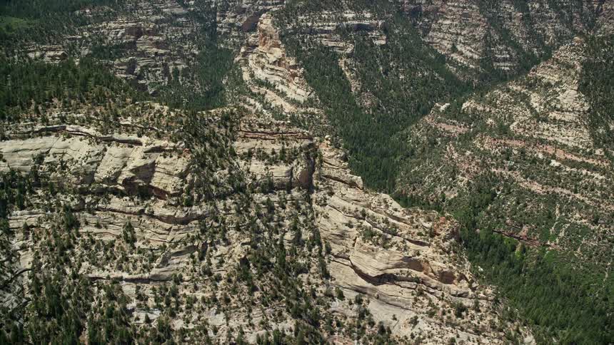 Aerial footage showcasing the breathtaking canyon cliffs and forested canyon of Manti-La Sal National Forest Utah during a sunny day