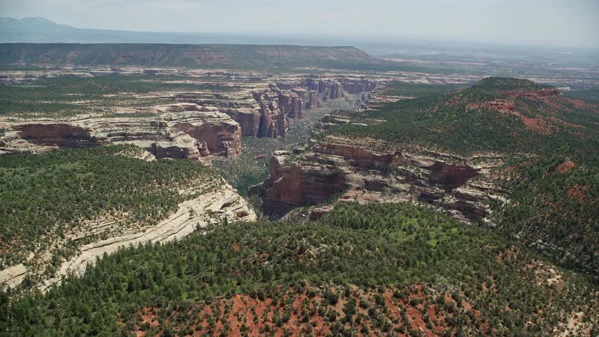  aerial footage of flying over Manti-LA Sal National Forest in Utah tilting up to reveal Arch Canyon showcasing the natural beauty of the forest and canyon landscape