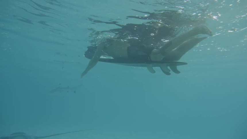 A man swims on a surfboard while sharks swim near him