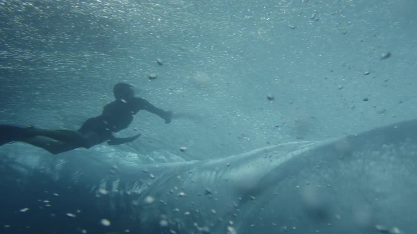 Point of view from underwater seeing a person surfing a wave and another person diving