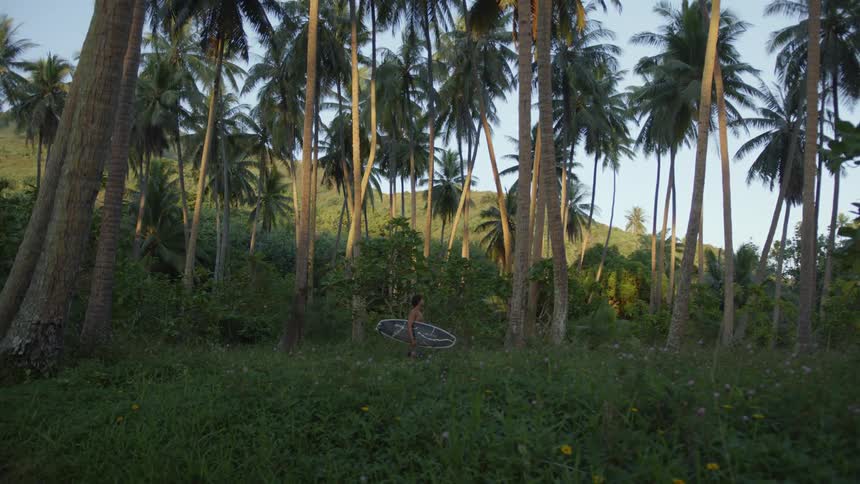 Man carrying a surfboard stand near palm trees in the morning