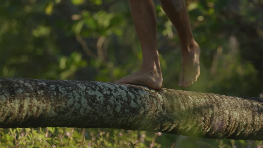 A person is balancing on a tree trunk