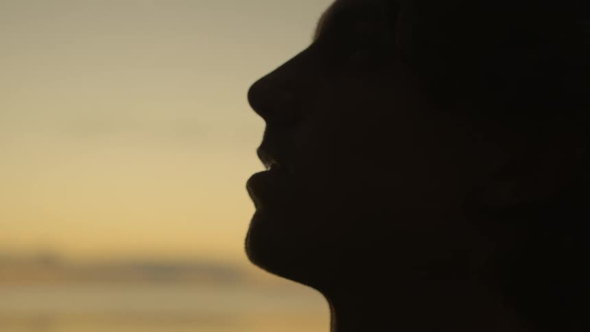 A persons silhouette is near the shore
