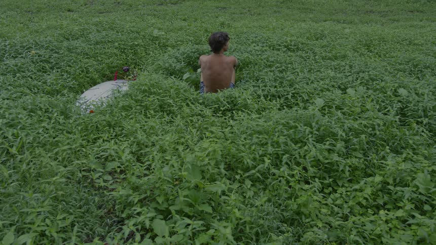 A shirtless man sits alone in a bush at midday