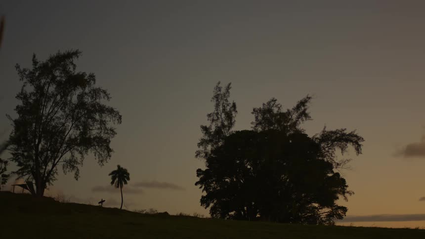 Dawn breaking in a natural environment with the silhouette of a person holding a surfboard in the background