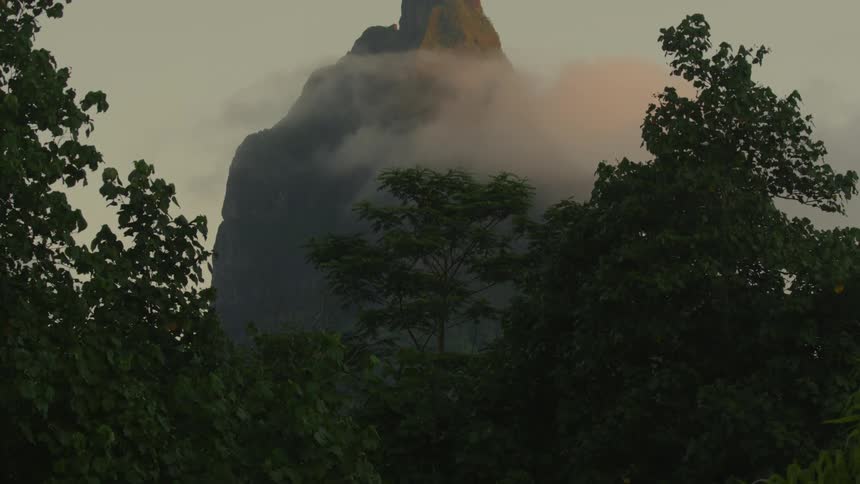 Forest with a valley and mountain range covered in mist in the background
