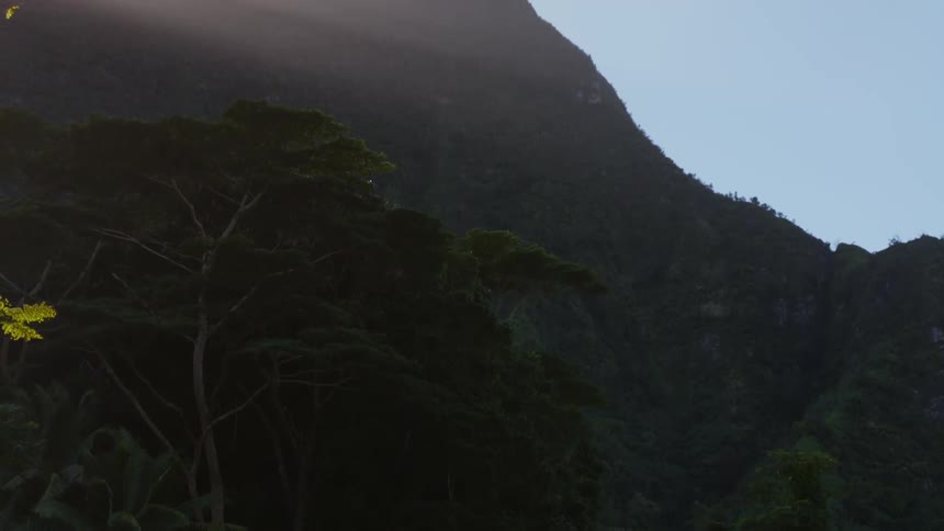 Rainforest landscape with rocky mountains