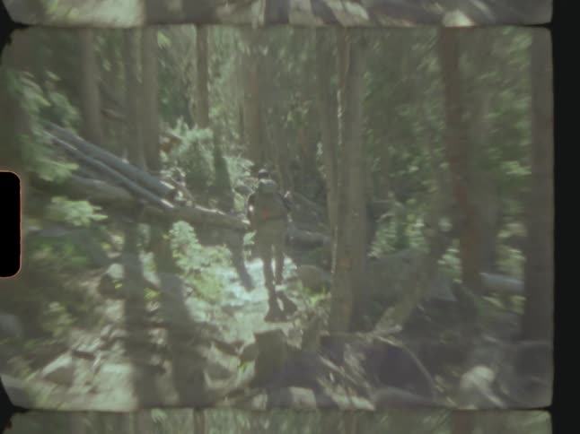 Hiker moves across uneven sloping ground in forest