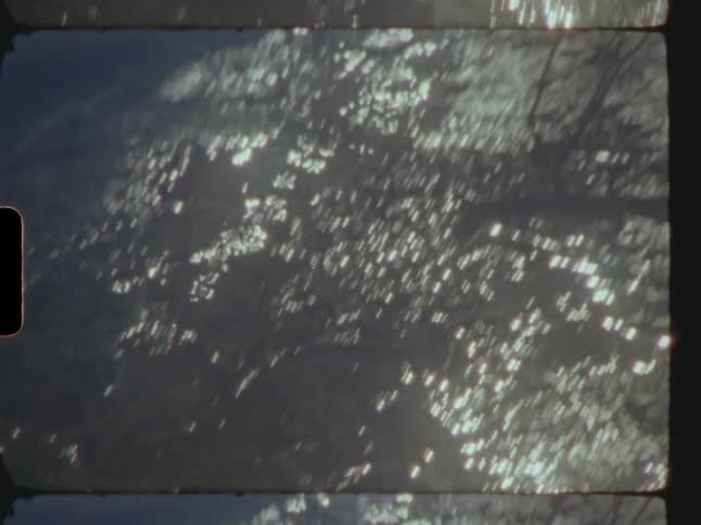 The sun shines on trees in the woods near a pond