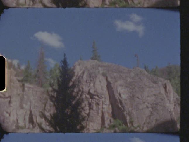 Trees grow among rocky mountain cliffs