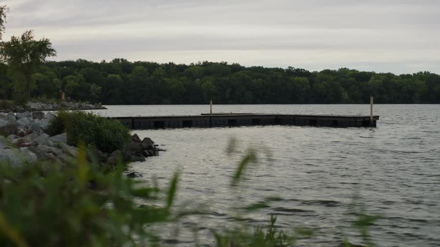 View of a pier on a lake surrounded by vegetation