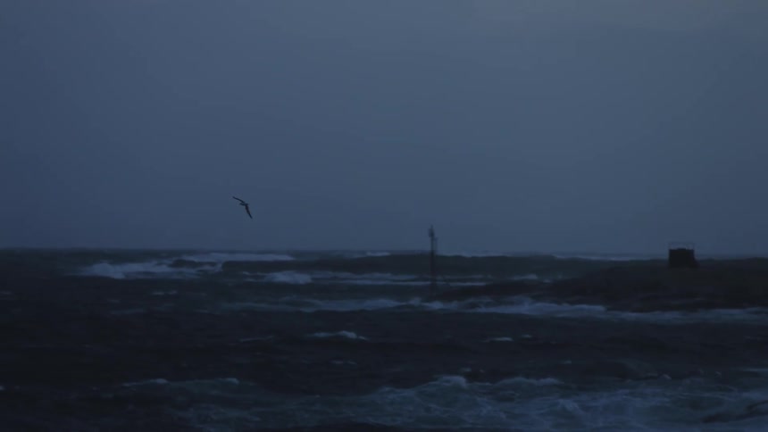 A seagull flying over a turbulent sea