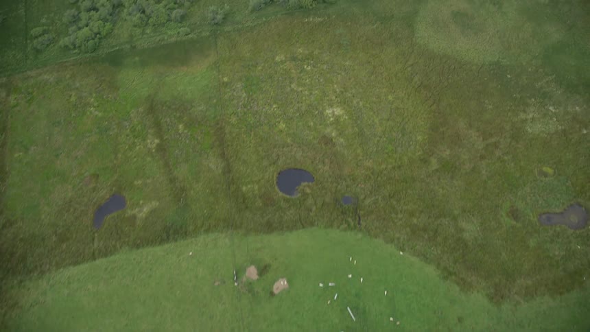 Aerial view of green vegetation on a field