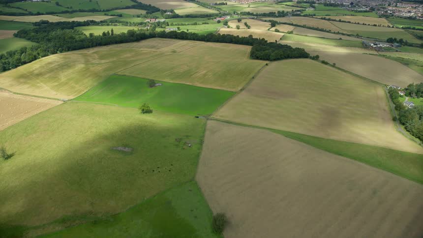Aerial of a rural town with acres of plantations