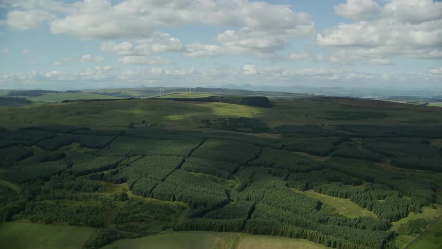 A region with a lot of grass and low vegetation on a hill