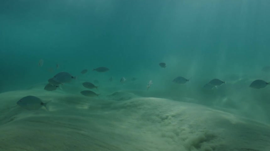 Ripples in the sand at the bottom of the ocean