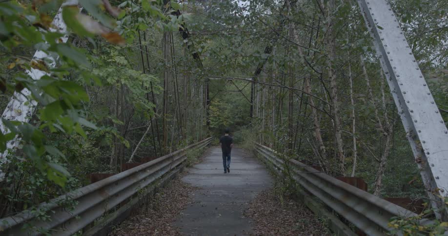 Person walking across a bridge that spans in the wilderness
